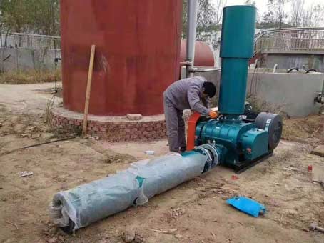 羅茨鼓風(fēng)機(jī)發(fā)出異響的原因是什么？